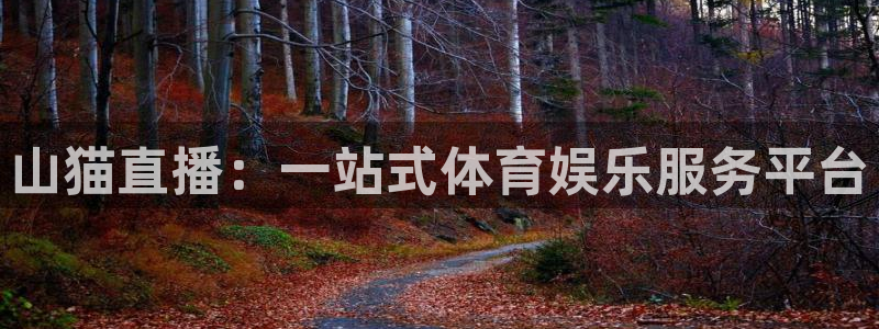 山猫直播：一站式体育娱乐服务平台