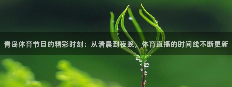 青岛体育节目的精彩时刻：从清晨到夜晚，体育直播的时间线不断更新