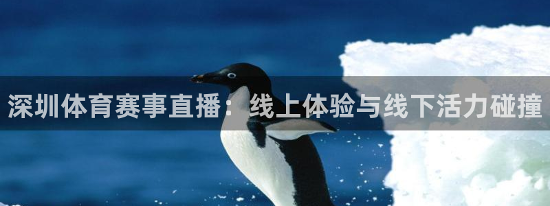 深圳体育赛事直播：线上体验与线下活力碰撞