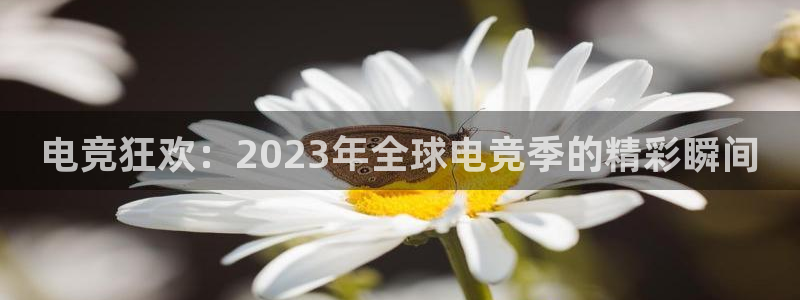 电竞狂欢：2023年全球电竞季的精彩瞬间